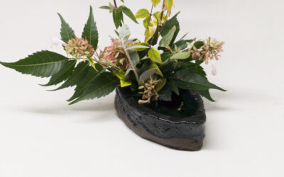 Barro negro y su cocción con microondas. Vídeo 51