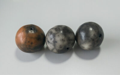 Rakú desnudo o naked rakú, decoraciones de humo. Vídeo 58